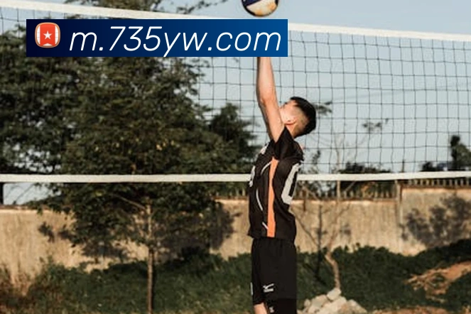 互动解说服务